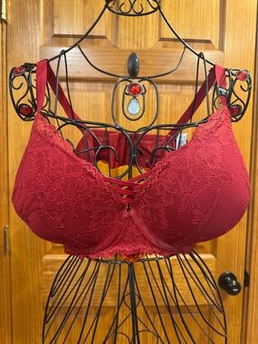 NWT Torrid Curve Push Up Plunge Red Lacy Corset Underwire Bra 44DDD
